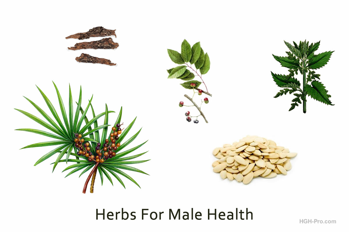 BPH Herbs