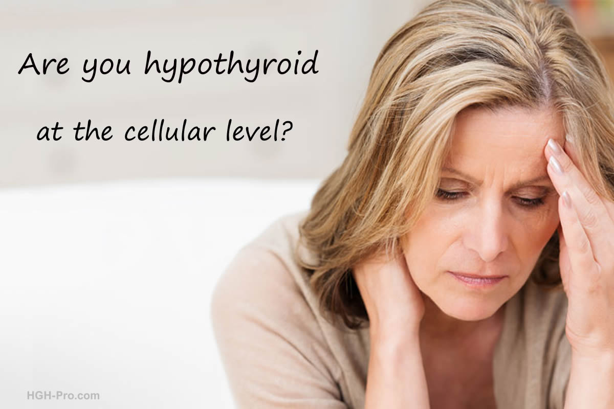 Are you hypothyroid at the cellular level?