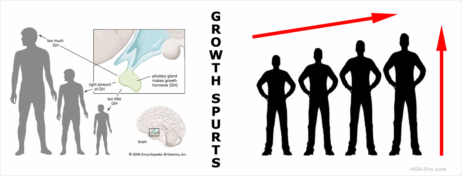 Increasing height and growth spurts