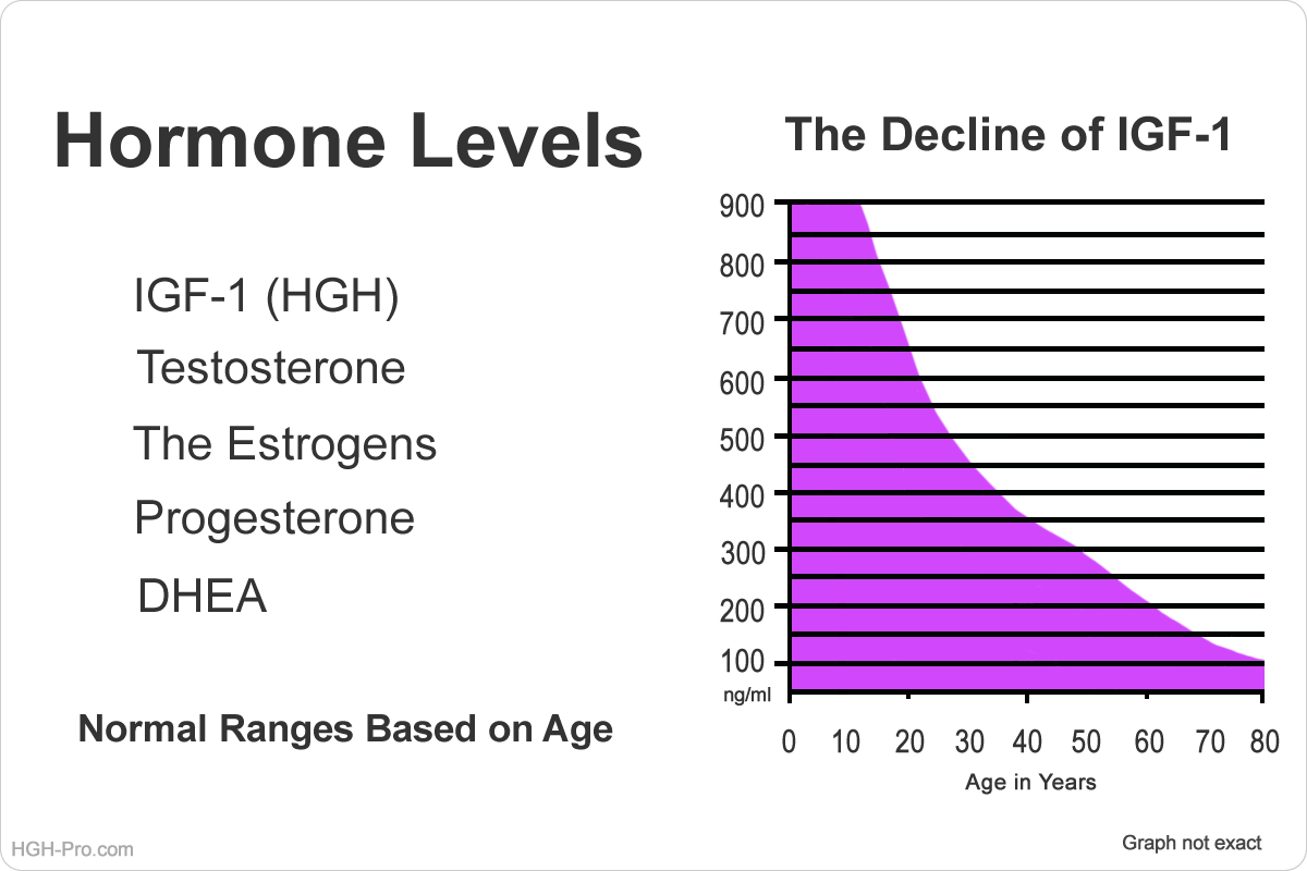 Hormone Levels Chart