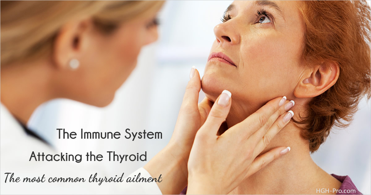 Thyroid Autoimmune Disorders The Most Common Thyroid Ailments