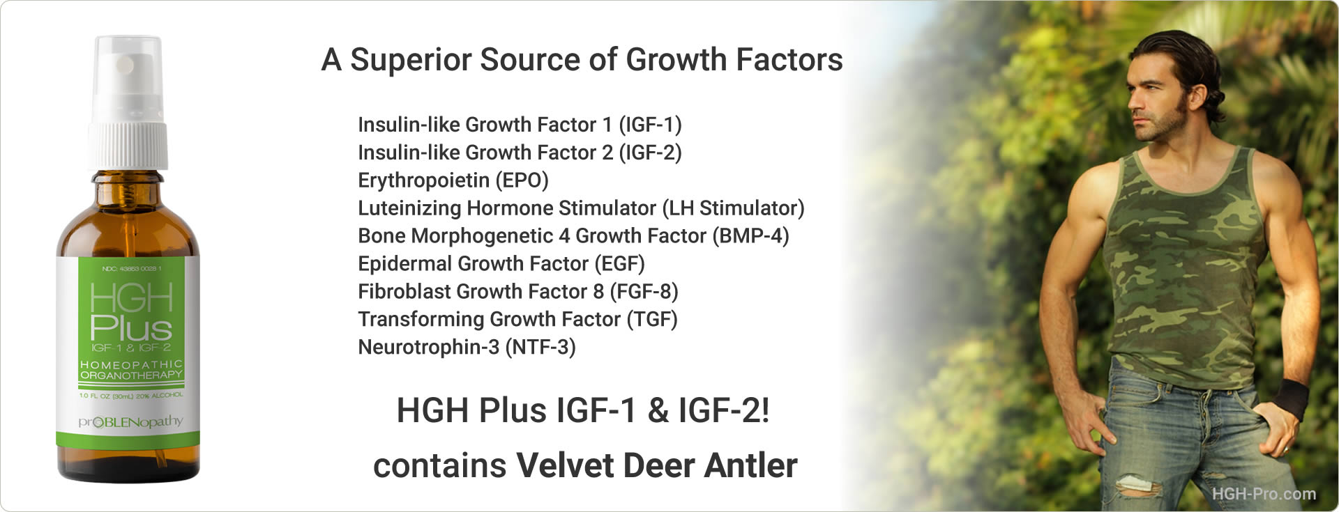 Velvet Deer Antler